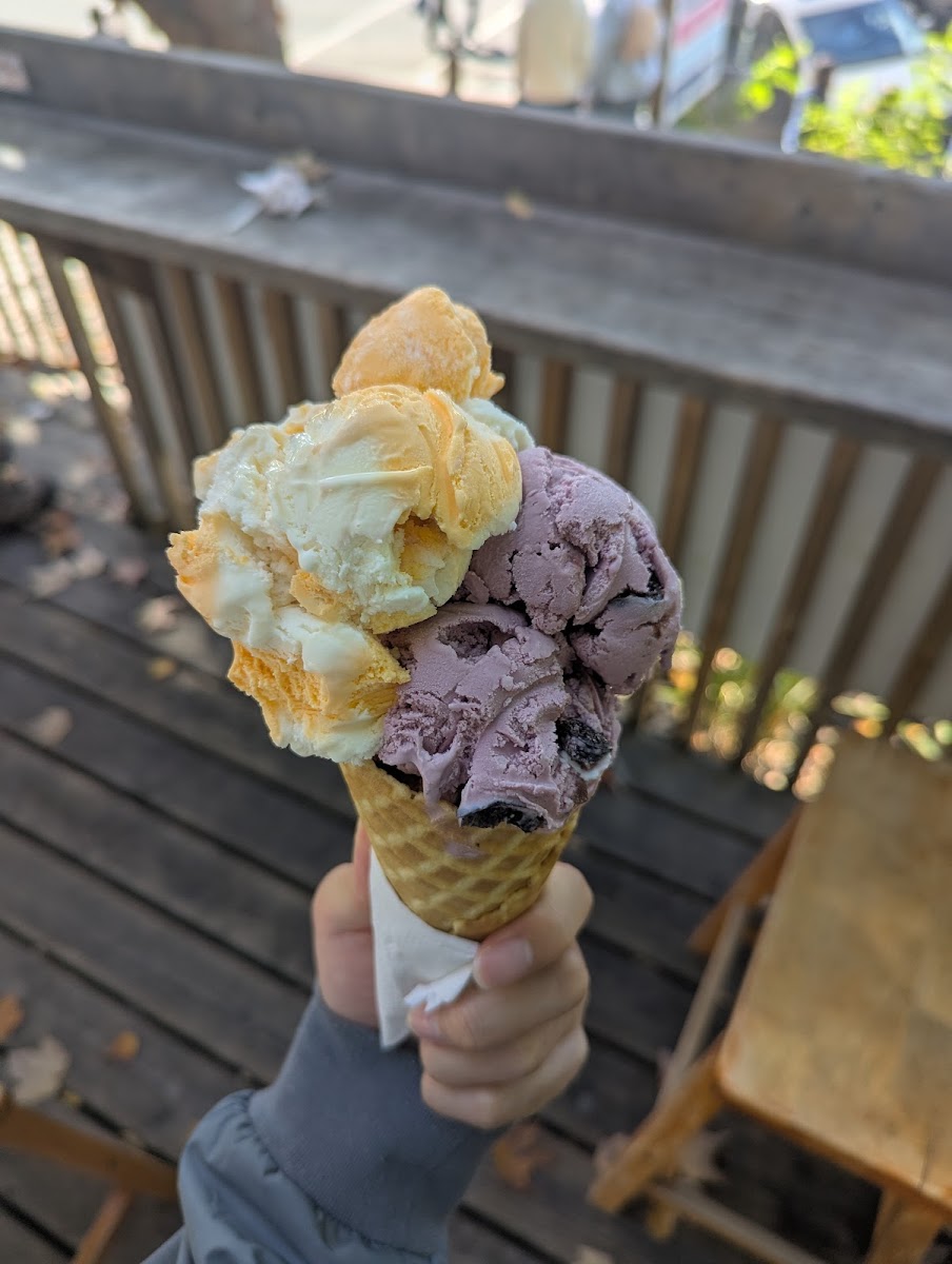 Mooskoka's Ice Cream Photos 2